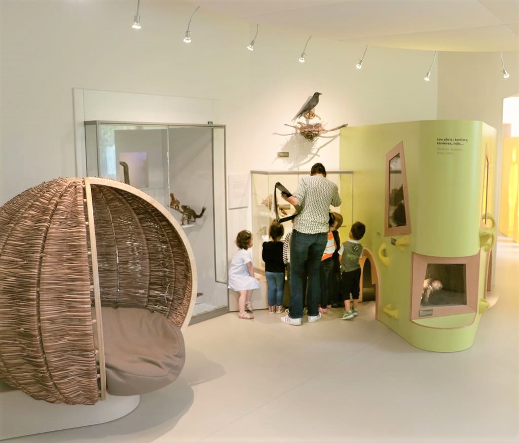 El Museo de los pequeños es une luego dedicado por los hijos menores de seís años. En este espacio del Museo de historia natural de Burdeos – ciencias y naturaleza, pueden descubrir la exposición semipermanente Todo los bebés.