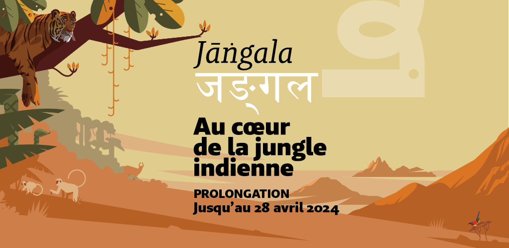 Exposition Jangala, au coeur de la jungle indienne au Muséum de Bordeaux - sciences et nature