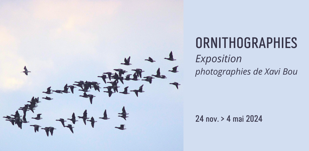 Les ornithographies de Xavi Bou au Muséum de Bordeaux - sciences et nature