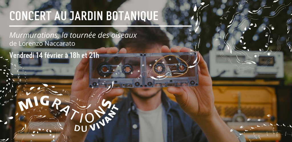 Concert au Jardin botanique - Murmurations, la tournée des oiseaux