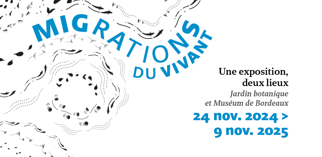 Migrations du vivant - une exposition, deux lieux - du 14 novembre 2024 au 9 novembre 2025