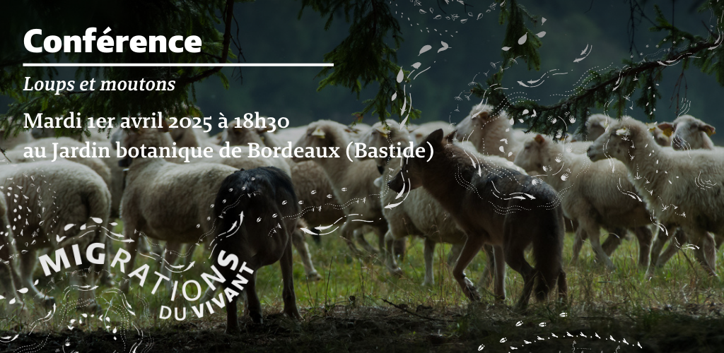 Conférence Loups et moutons le 1er avril 2025 au Jardin botanique de Bordeaux